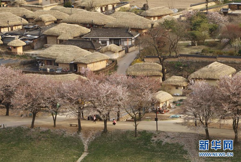 探访世界文化遗产：韩国安东河回村【组图】
