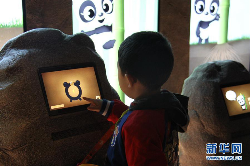 探访“熊猫夫妇”在韩国的高科技新家【组图】