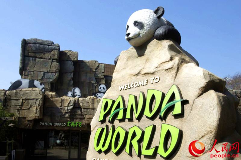 位于京畿道龙仁市的爱宝乐园熊猫世界  （夏雪 摄）