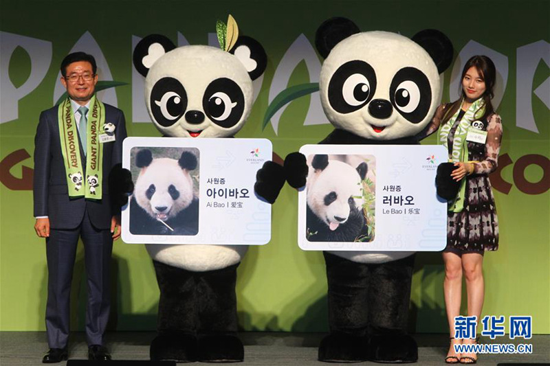 旅韩“大熊猫夫妇”正式与韩国公众见面【组图】