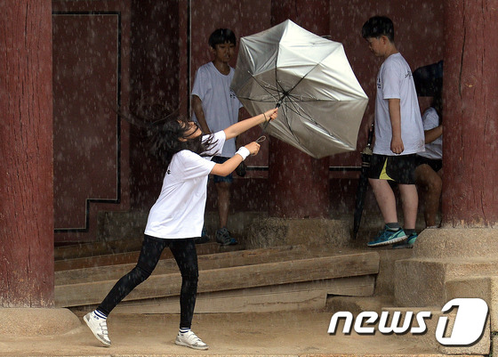 韩国多地迎来降雨 本周日进入梅雨季【组图】
