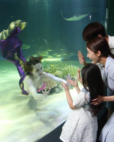 首尔韩华水族馆重新开放 “美人鱼”现身梦幻唯美【组图】