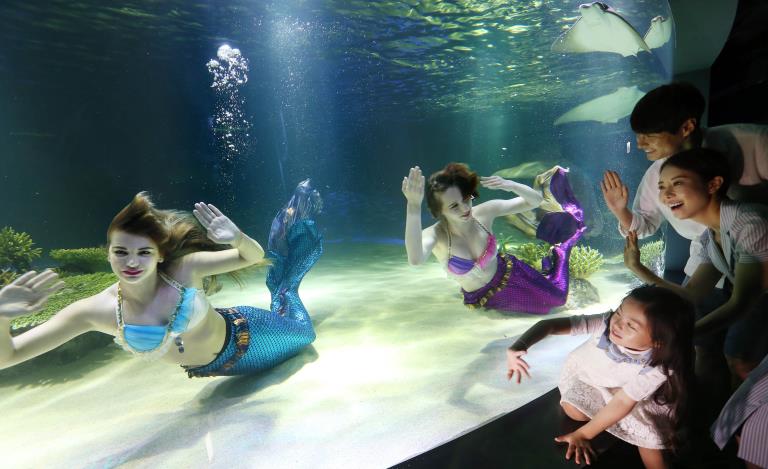 首尔韩华水族馆重新开放 "美人鱼"现身梦幻唯美【组图