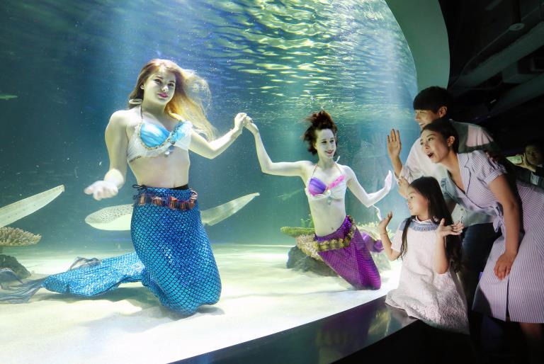 首尔韩华水族馆重新开放 “美人鱼”现身梦幻唯美【组图】