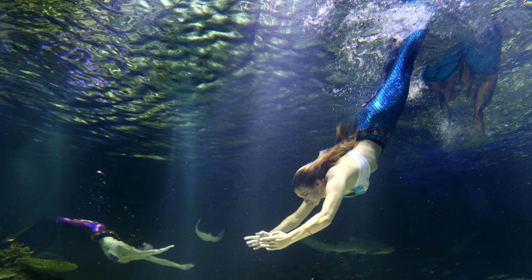 首尔韩华水族馆重新开放 "美人鱼"现身梦幻唯美【组图