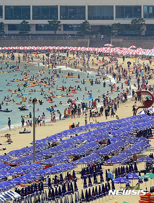 下饺子！热浪袭韩 海云台海水浴场迎大批游客【组图】