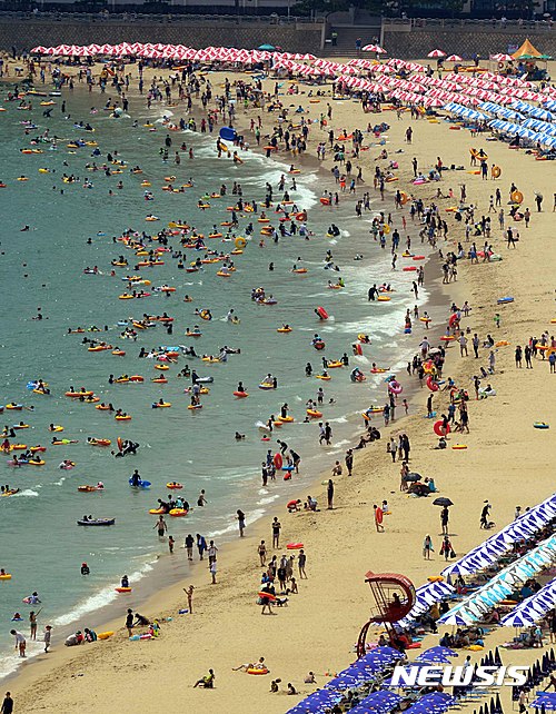 下饺子！热浪袭韩 海云台海水浴场迎大批游客【组图】