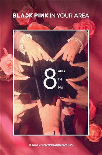 YG全新女团BLACK PINK公开预告照 8月8日正式出道（图）