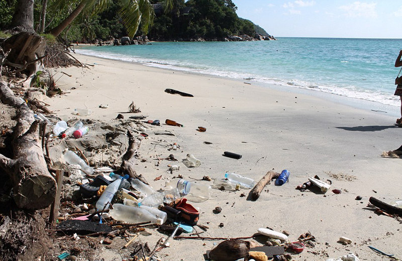 英夫妇泰国旅游被坑 迷人海岛变垃圾岛（图）