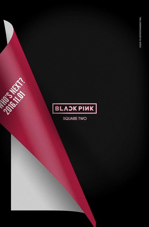 YG女团Black Pink将于11月1日携新专辑回归（图）