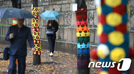韩国：秋雨来袭气温低 大树“穿毛衣”御寒（组图）