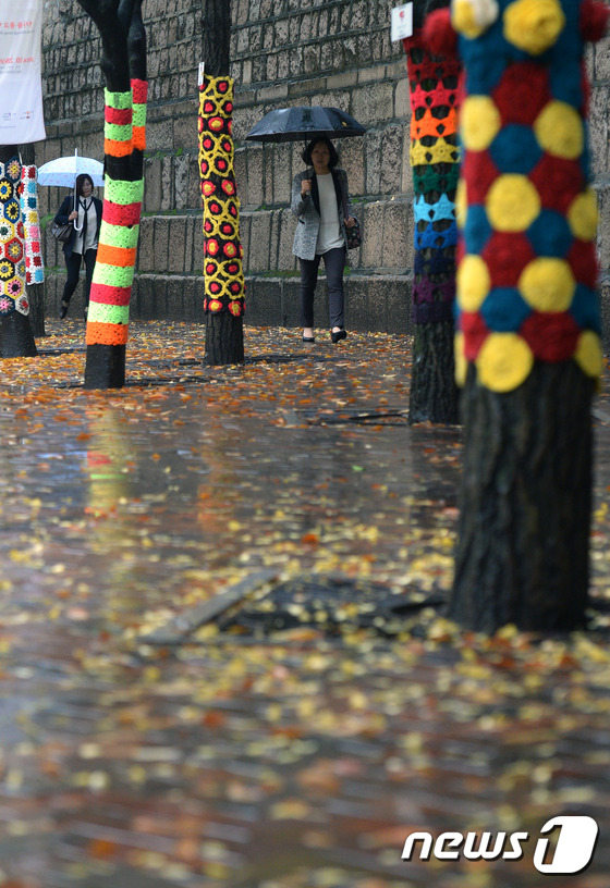 韩国：秋雨来袭气温低 大树“穿毛衣”御寒（组图）