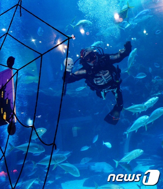 万圣节将至 韩国水族馆“惊险之夜”恐怖指数爆表【组图】