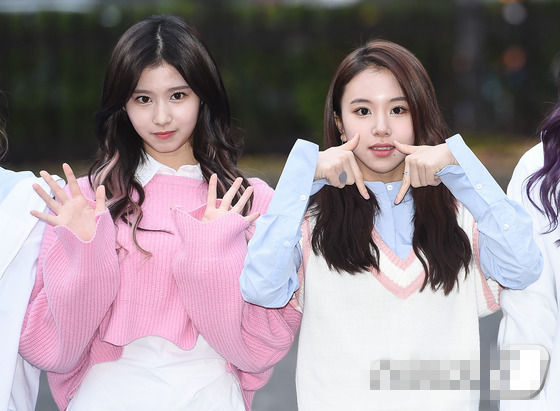 TWICE Sana、彩瑛