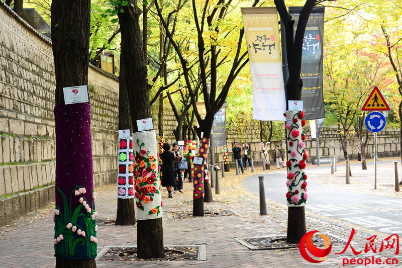 女大学生为树木手织新毛衣被赞有爱 韩国树木