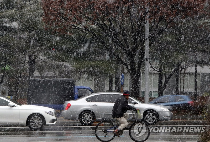 23�մ������콵��ѩ��ͼΪ��ѩ���ﵥ��������