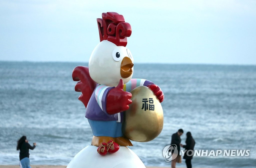 設置在釜山海雲台海水浴場的雞年雕塑活靈活現，吸睛無數。