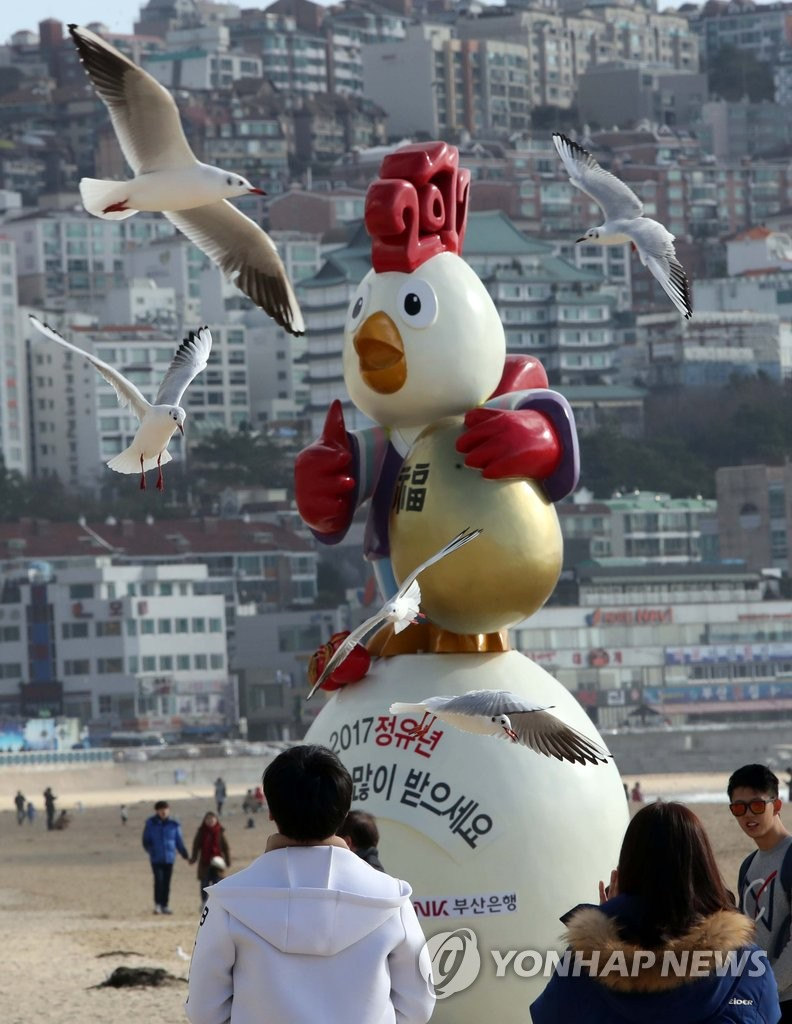 設置在釜山海雲台海水浴場的雞年雕塑活靈活現，吸睛無數。