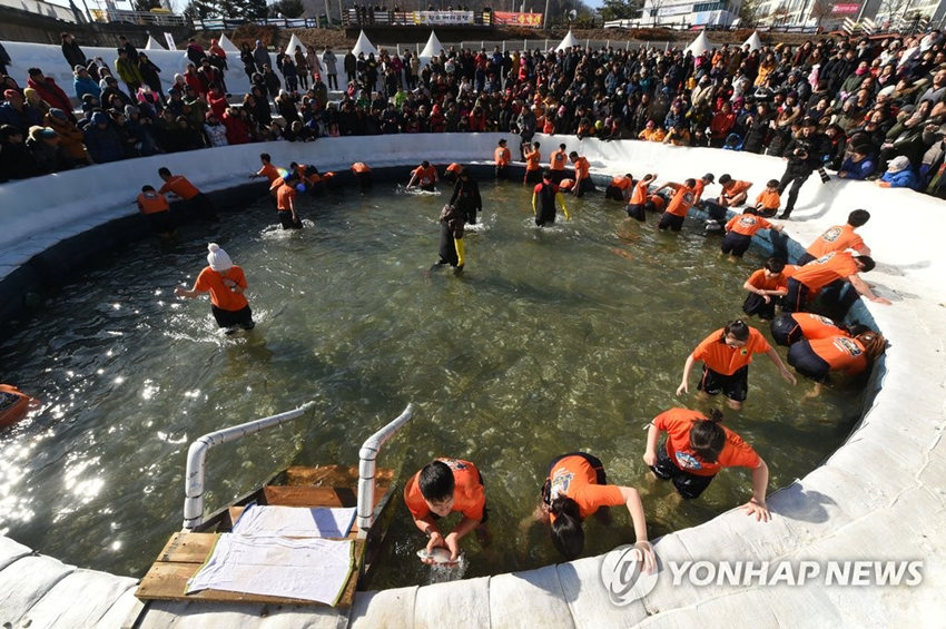 游客們正在體驗徒手抓山鱒魚活動。