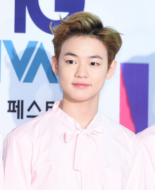 鐘辰樂 韓國男團NCT DREAM成員，可愛活力，散發出00后少年的青春正能量。