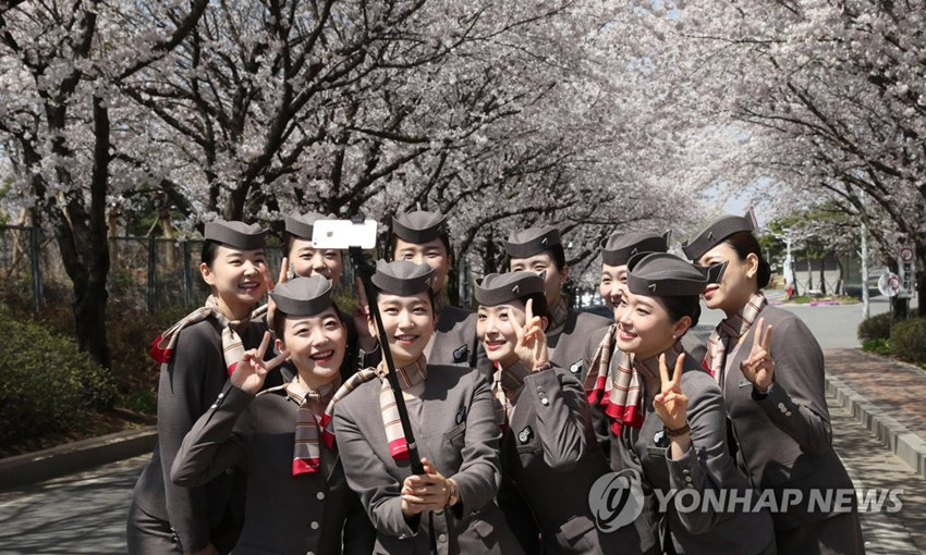 韓國空姐集體自拍，高顏值吸睛。