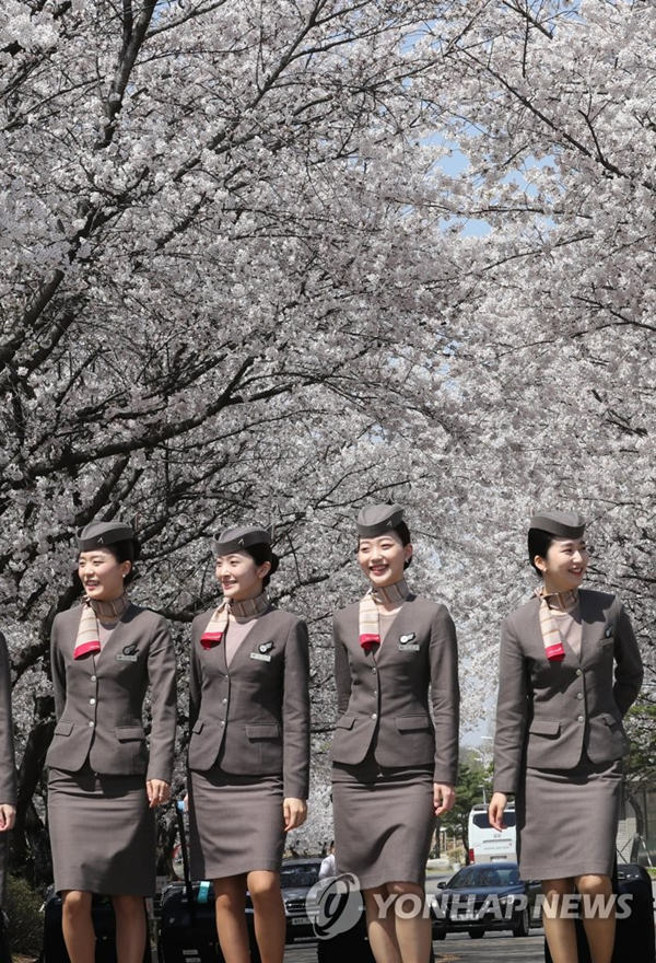 朝鮮空姐新版制服顯干練 韓國空姐統一制服自拍高顏值吸睛【組圖】【3】
