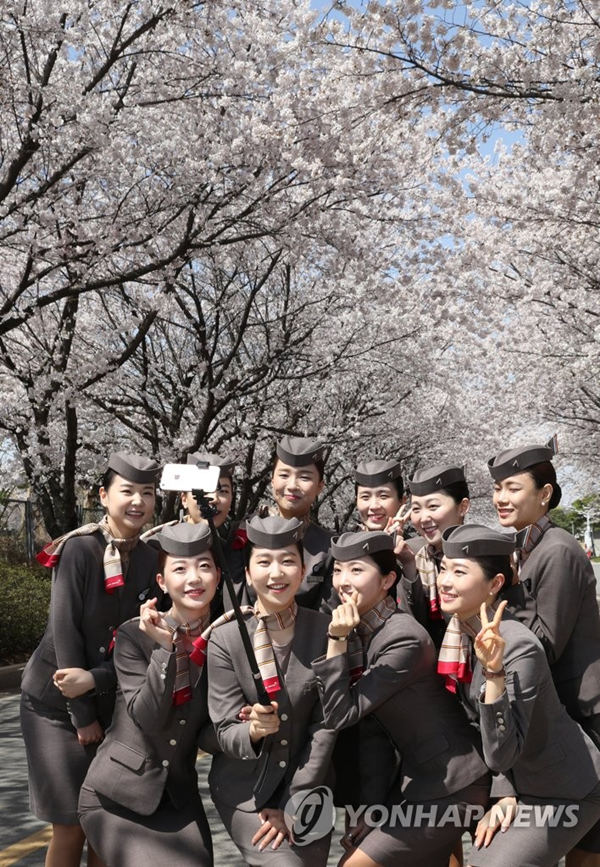 韓國空姐集體自拍，高顏值吸睛。