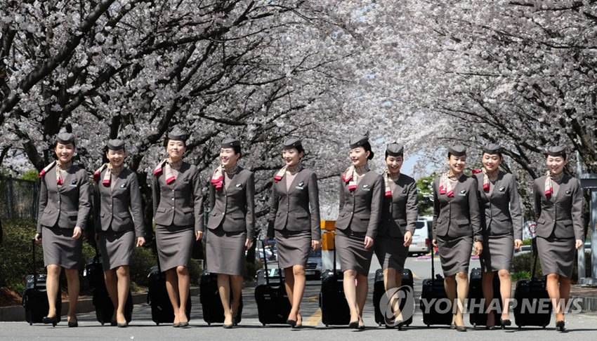 韓亞航空空姐接受培訓后集體亮相。