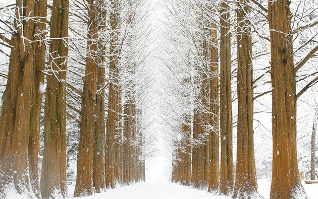 天下最美散步路尽在南怡岛