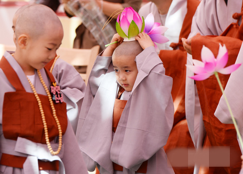 曹溪寺19日舉辦了“童僧剃度及短期出家受戒儀式”。