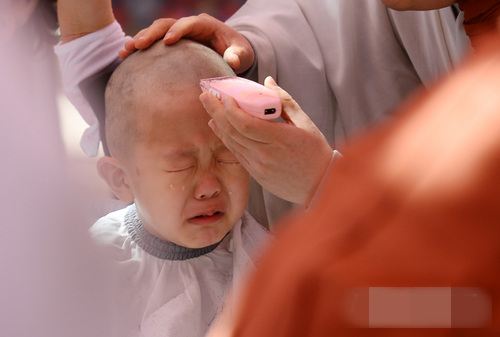 一名兒童在剃度過程中哇哇大哭。