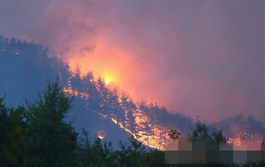 當地時間6日，韓國江原道江陵市、三陟市等部分地區發生山火，燒毀大面積林地。