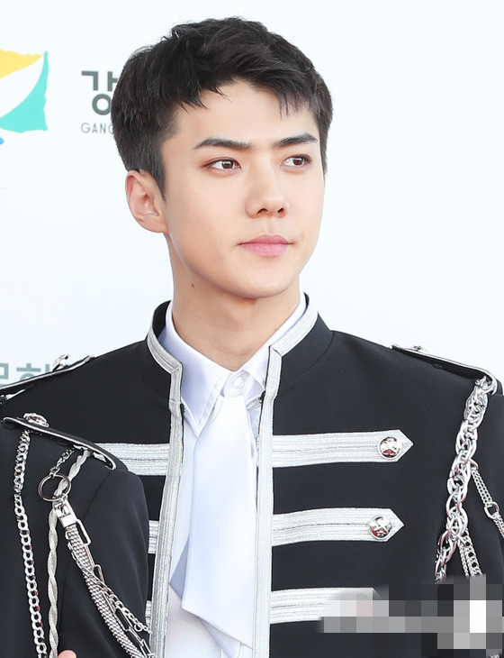 EXO ��ѫ