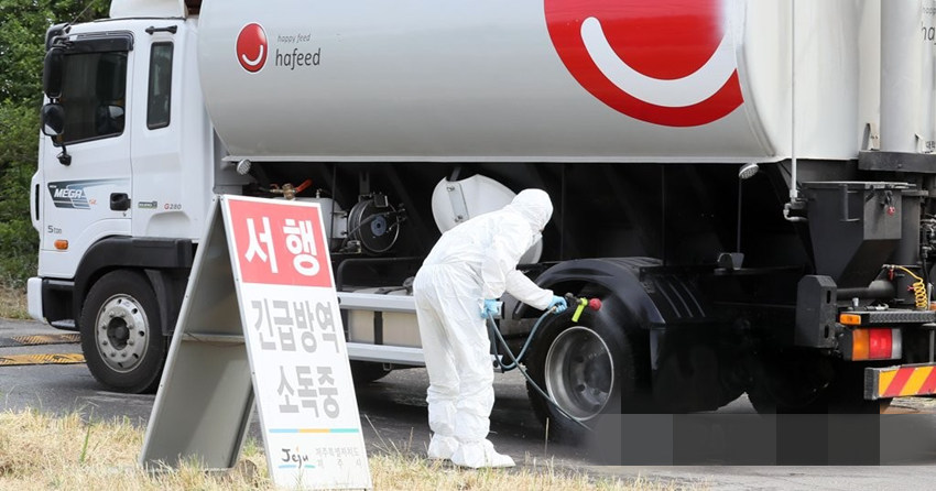 6月5日，韓國濟州，防疫人員正在對給車輛消毒。