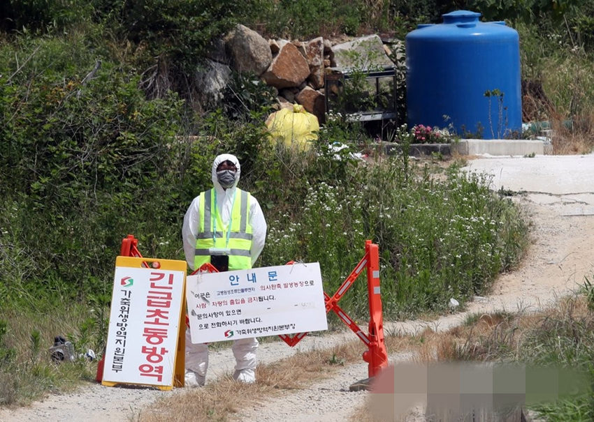 6月5日，相關人員在慶尚南道梁山市某農場前進行緊急防疫工作。