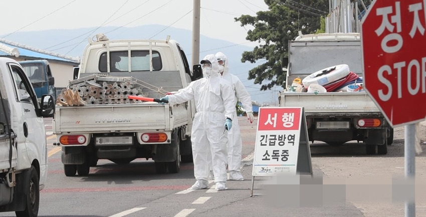 韓國濟州某農場發生疑似禽流感疫情后，相關人員5日對此處進行緊急防疫消毒作業。