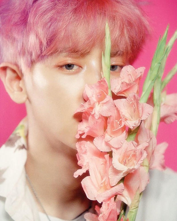 EXO回归 《THE WAR》灿烈预告照樱花粉发色