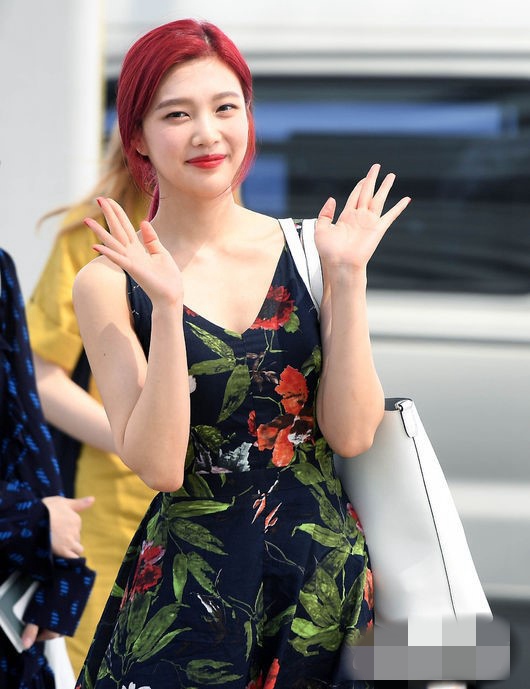 Red Velvet �����٣�Joy��