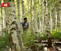 麟蹄白桦林        “玩转江原道”是人民网韩国公司出品的一档旅游资讯类节目。