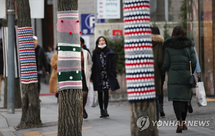 溫暖有愛！首爾街頭銀杏樹“穿毛衣”【組圖】【4】