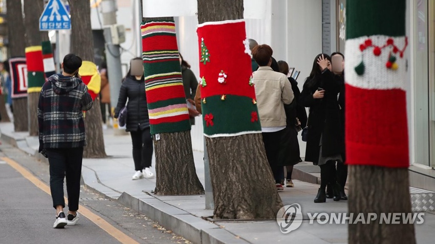 溫暖有愛！首爾街頭銀杏樹“穿毛衣”【組圖】【3】