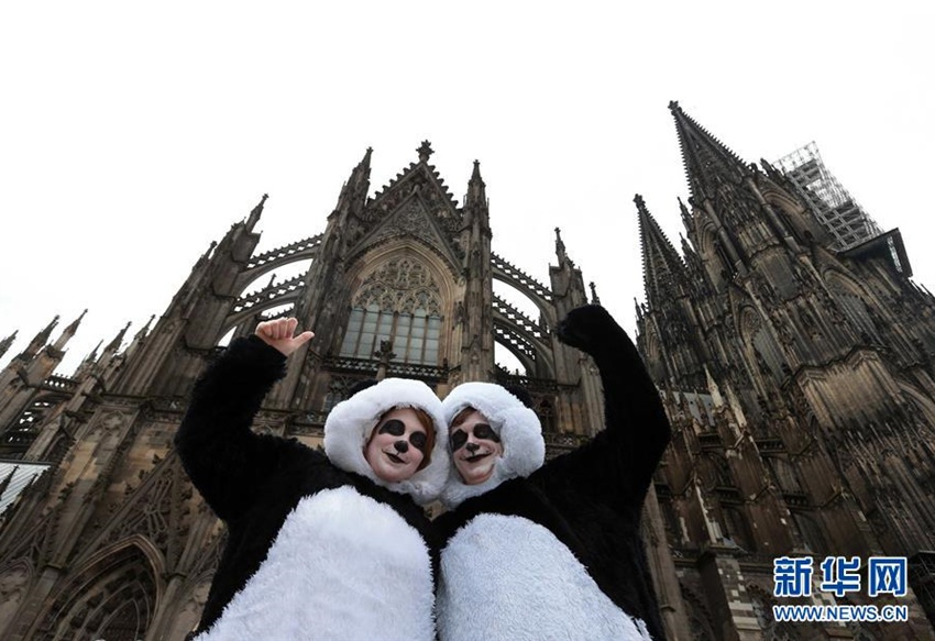 這是2017年2月27日，在德國科隆，“玫瑰星期一”大游行上裝扮成熊貓的狂歡者經過科隆大教堂。新華社記者 羅歡歡 攝
