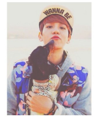 EXO ����