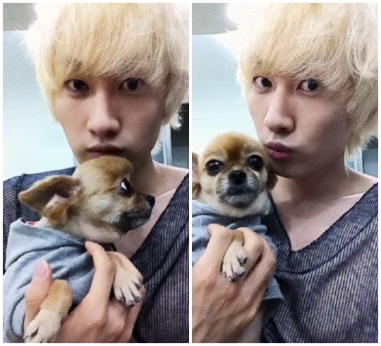 SJ ����