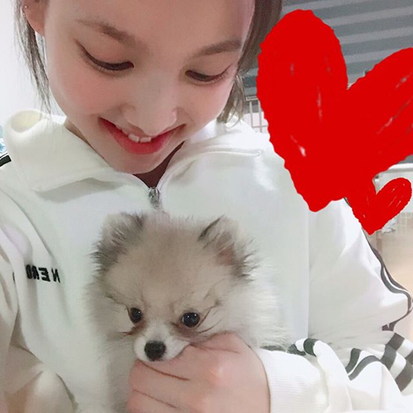 TWICE ������
