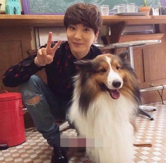 SJ ����