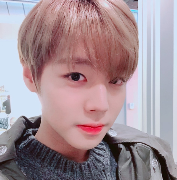 防弹少年团朴智旻EXO金珉锡WANNA ONE朴志训 细数“最会撒娇”的爱豆男神【组图】