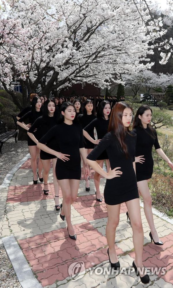 韓國女生櫻花樹下集體走秀 別樣春景吸睛【組圖】【4】