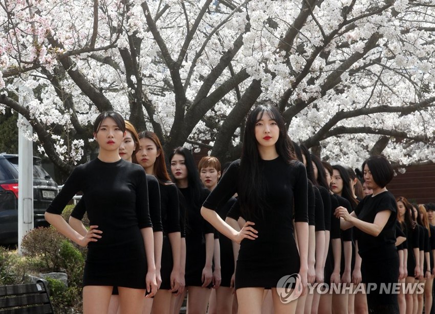 韓國女生櫻花樹下集體走秀 別樣春景吸睛【組圖】【3】