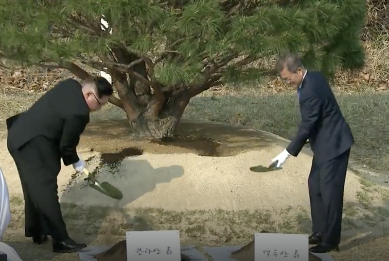 韩国总统文在寅（右）与朝鲜最高领导人金正恩（左）进行共同植树活动，祈愿朝鲜半岛和平与繁荣。图为在韩国高阳媒体中心拍摄的电视直播画面。夏雪摄